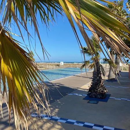 T4 Au Bord Du Avec Terrasse, 6 Pers, Parking, Animaux Acceptes, Classee 1* - Fr-1-798-37 * Leucate